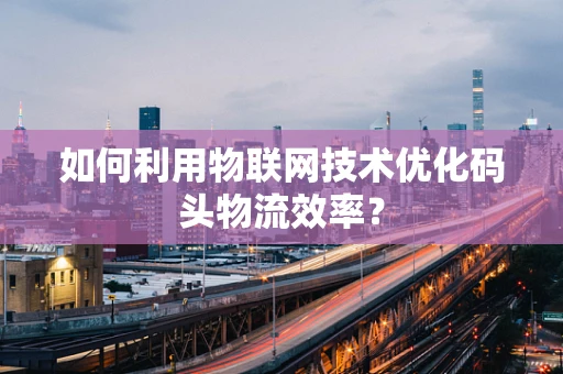 如何利用物联网技术优化码头物流效率？