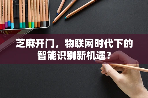 芝麻开门，物联网时代下的智能识别新机遇？