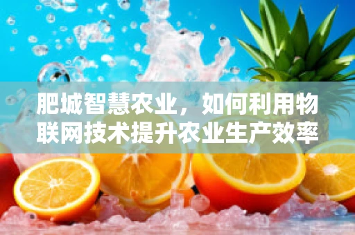 肥城智慧农业，如何利用物联网技术提升农业生产效率？