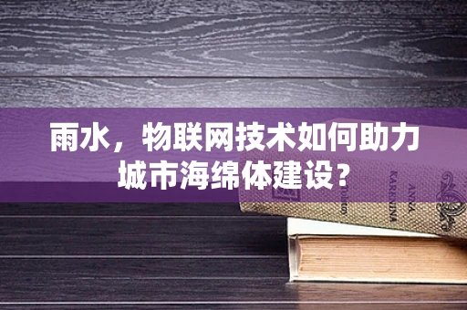 雨水，物联网技术如何助力城市海绵体建设？