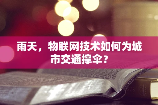 雨天，物联网技术如何为城市交通撑伞？