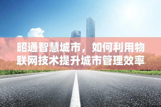 昭通智慧城市，如何利用物联网技术提升城市管理效率？