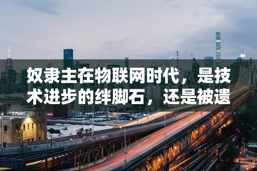 奴隶主在物联网时代，是技术进步的绊脚石，还是被遗忘的伦理考量？