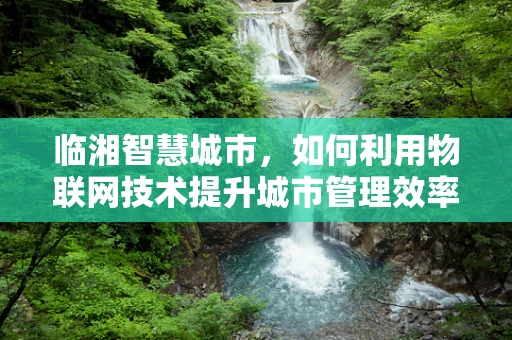 临湘智慧城市，如何利用物联网技术提升城市管理效率？