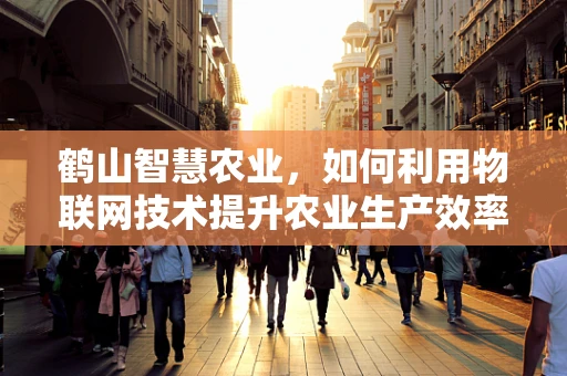 鹤山智慧农业，如何利用物联网技术提升农业生产效率？