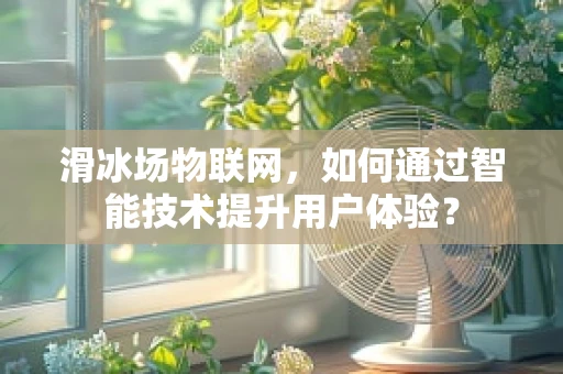 滑冰场物联网，如何通过智能技术提升用户体验？