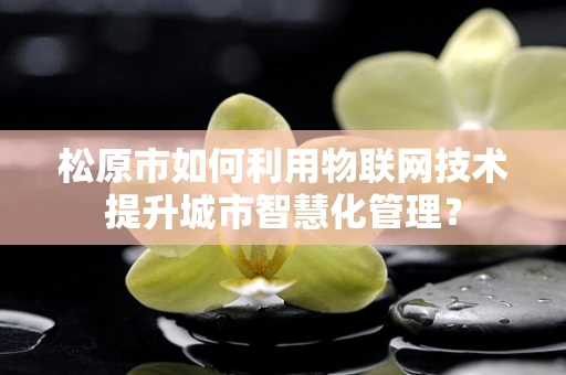松原市如何利用物联网技术提升城市智慧化管理？