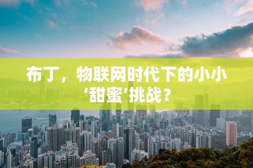 布丁，物联网时代下的小小‘甜蜜’挑战？