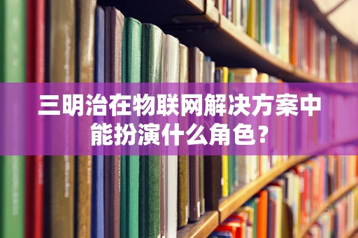 三明治在物联网解决方案中能扮演什么角色？