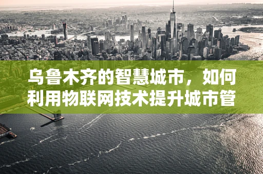 乌鲁木齐的智慧城市，如何利用物联网技术提升城市管理效率？