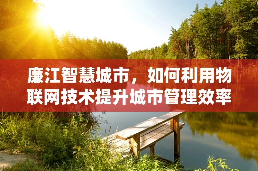 廉江智慧城市，如何利用物联网技术提升城市管理效率？