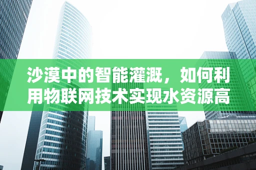 沙漠中的智能灌溉，如何利用物联网技术实现水资源高效利用？
