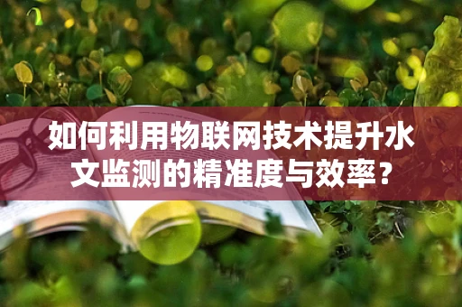 如何利用物联网技术提升水文监测的精准度与效率？