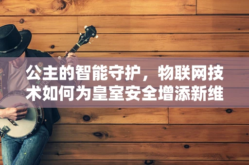 公主的智能守护，物联网技术如何为皇室安全增添新维度？