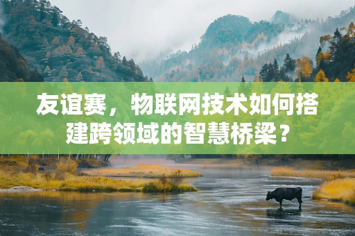 友谊赛，物联网技术如何搭建跨领域的智慧桥梁？