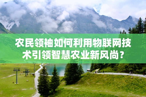 农民领袖如何利用物联网技术引领智慧农业新风尚？