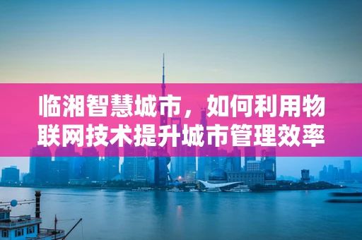 临湘智慧城市，如何利用物联网技术提升城市管理效率？