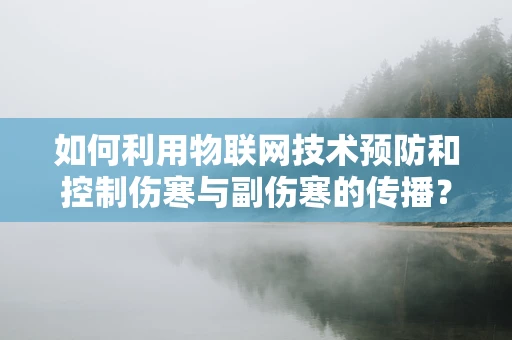 如何利用物联网技术预防和控制伤寒与副伤寒的传播？