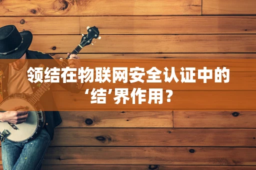 领结在物联网安全认证中的‘结’界作用？