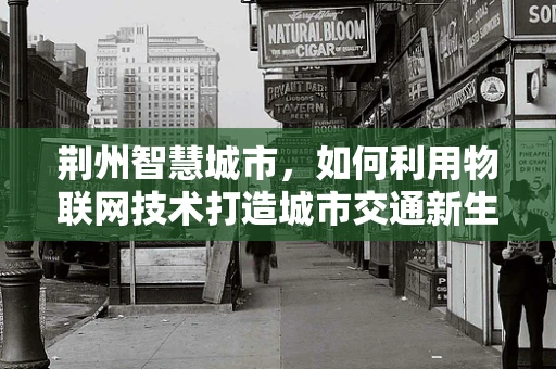 荆州智慧城市，如何利用物联网技术打造城市交通新生态？