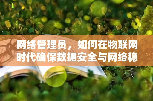 网络管理员，如何在物联网时代确保数据安全与网络稳定？