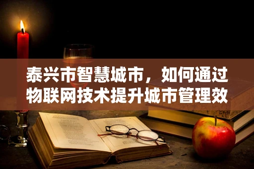 泰兴市智慧城市，如何通过物联网技术提升城市管理效率？
