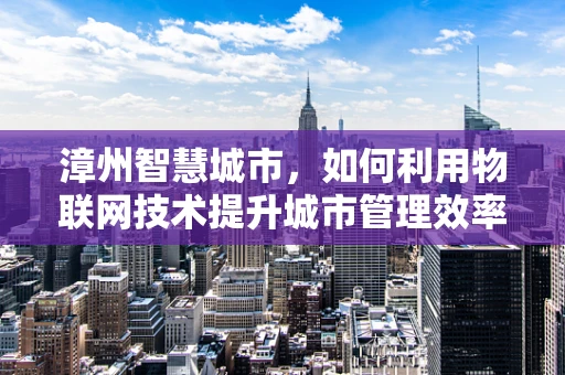 漳州智慧城市，如何利用物联网技术提升城市管理效率？