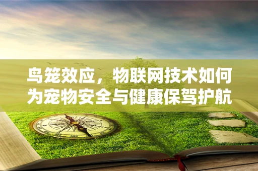 鸟笼效应，物联网技术如何为宠物安全与健康保驾护航？