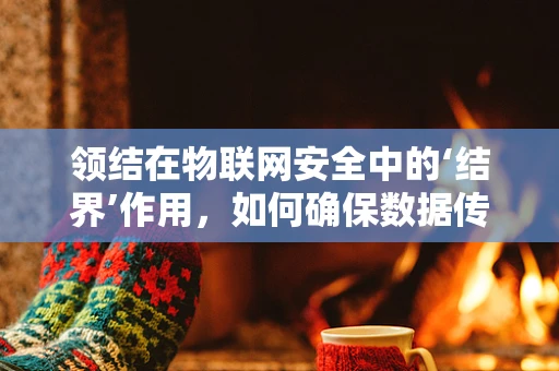 领结在物联网安全中的‘结界’作用，如何确保数据传输的‘领结’安全？