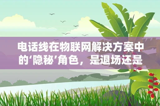 电话线在物联网解决方案中的‘隐秘’角色，是退场还是新机遇的起点？