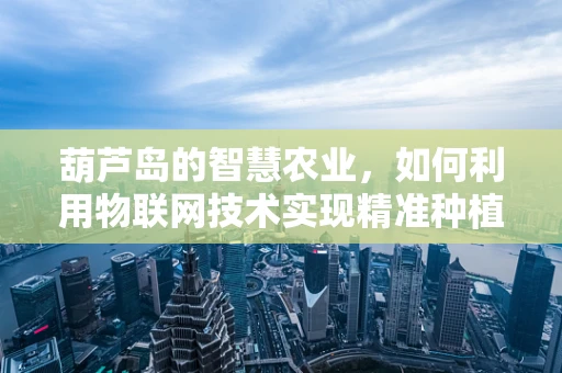 葫芦岛的智慧农业，如何利用物联网技术实现精准种植？