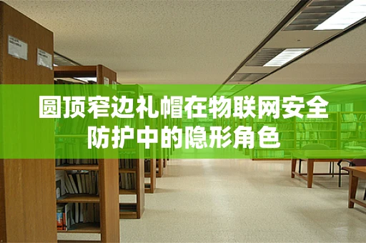 圆顶窄边礼帽在物联网安全防护中的隐形角色