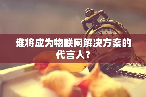谁将成为物联网解决方案的代言人？