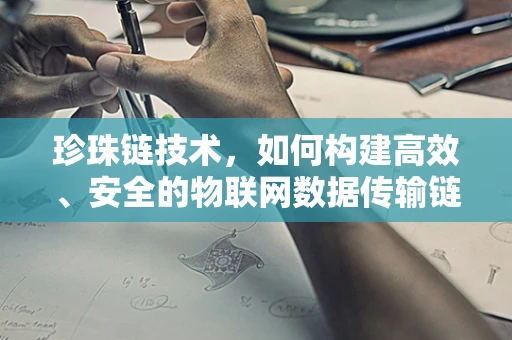 珍珠链技术，如何构建高效、安全的物联网数据传输链？
