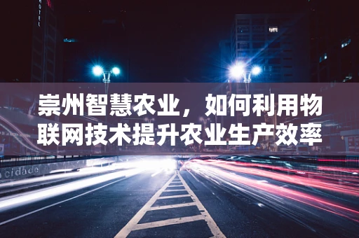 崇州智慧农业，如何利用物联网技术提升农业生产效率？