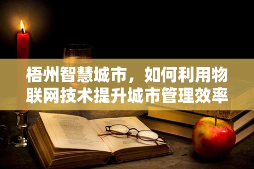 梧州智慧城市，如何利用物联网技术提升城市管理效率？