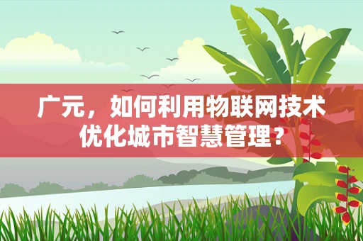 广元，如何利用物联网技术优化城市智慧管理？
