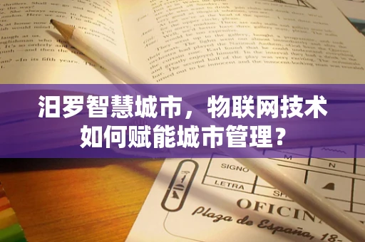 汨罗智慧城市，物联网技术如何赋能城市管理？