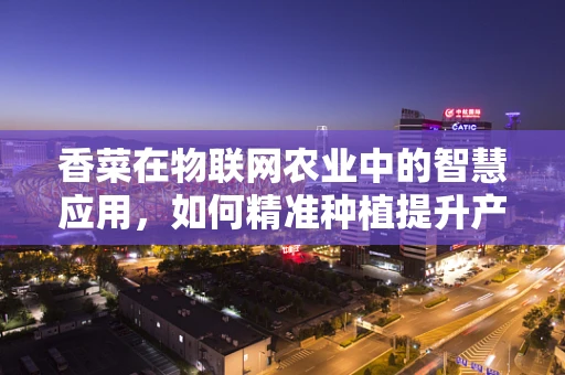 香菜在物联网农业中的智慧应用，如何精准种植提升产量？