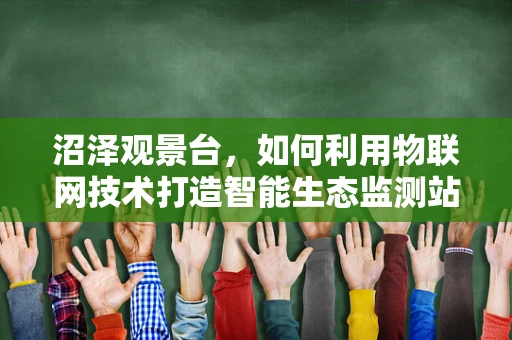沼泽观景台，如何利用物联网技术打造智能生态监测站？