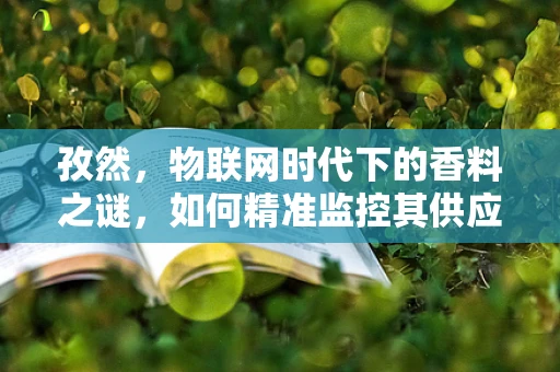 孜然，物联网时代下的香料之谜，如何精准监控其供应链？