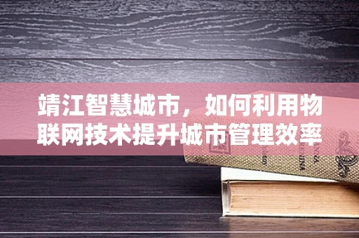 靖江智慧城市，如何利用物联网技术提升城市管理效率？