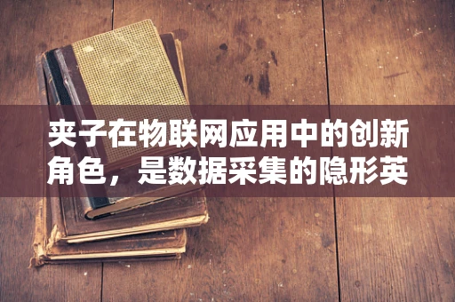 夹子在物联网应用中的创新角色，是数据采集的隐形英雄吗？