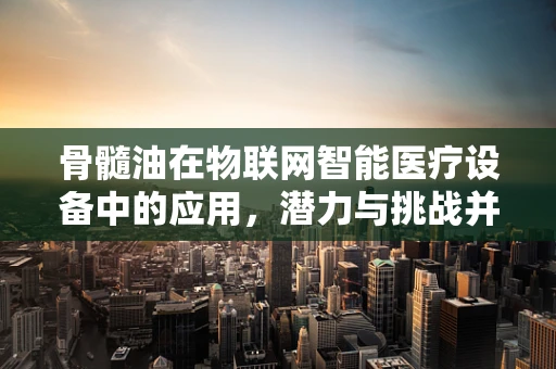 骨髓油在物联网智能医疗设备中的应用，潜力与挑战并存？