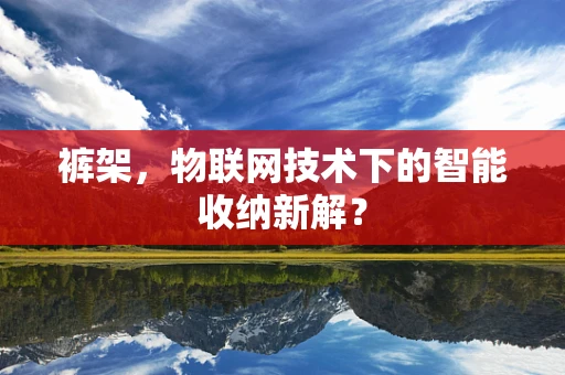 裤架，物联网技术下的智能收纳新解？