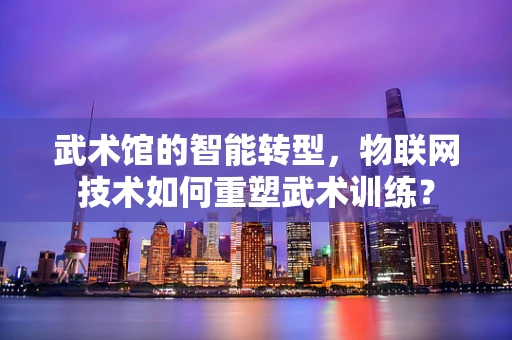 武术馆的智能转型，物联网技术如何重塑武术训练？