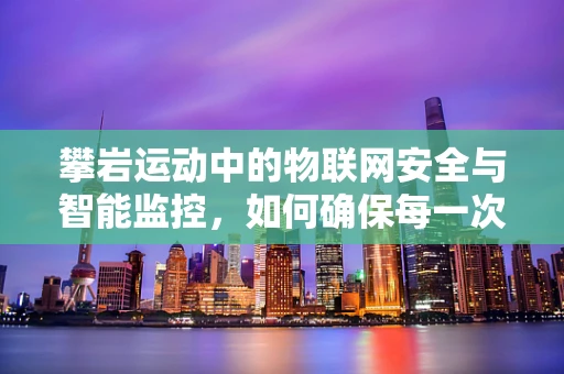 攀岩运动中的物联网安全与智能监控，如何确保每一次攀登的安全与高效？