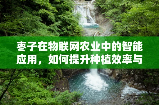枣子在物联网农业中的智能应用，如何提升种植效率与品质？