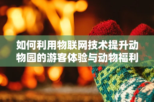 如何利用物联网技术提升动物园的游客体验与动物福利？