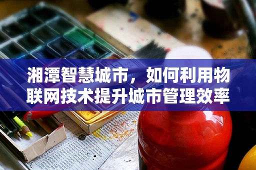 湘潭智慧城市，如何利用物联网技术提升城市管理效率？